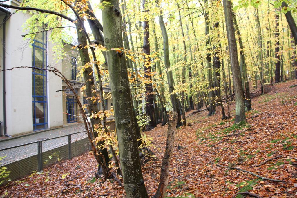 Hotel Lesny Zoppot Exterior foto